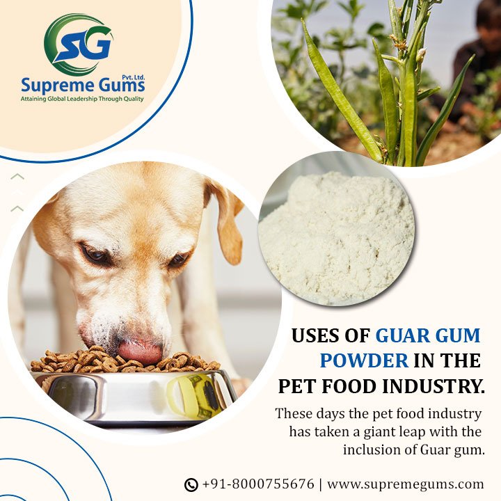 Uses-of-Gum-Powder-In-The-Pet-Food-Industry.