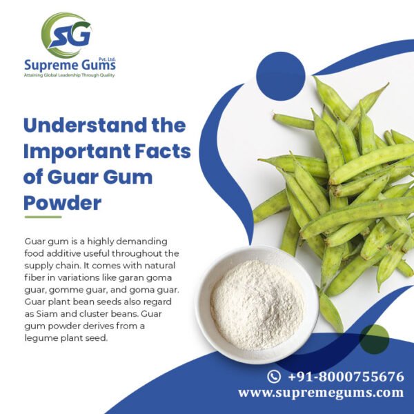 Home / blog / Understand the Important Facts of Guar Gum Powder
